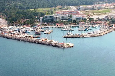 Yalova Web Tasarım